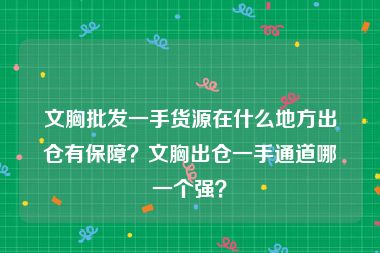 文胸批发一手货源在什么地方出仓有保障？文胸出仓一手通道哪一个强？