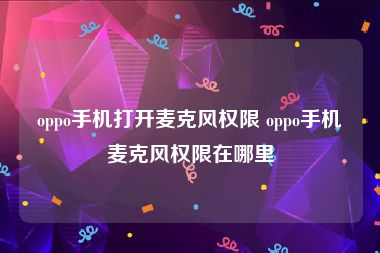 oppo手机打开麦克风权限 oppo手机麦克风权限在哪里
