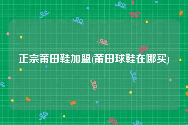 正宗莆田鞋加盟(莆田球鞋在哪买)