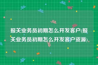 报关业务员初期怎么开发客户(报关业务员初期怎么开发客户资源)