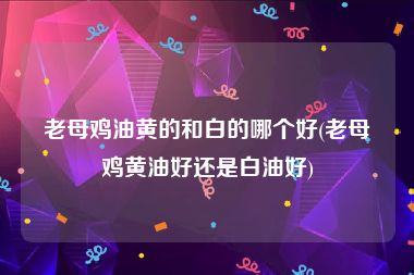 老母鸡油黄的和白的哪个好(老母鸡黄油好还是白油好)