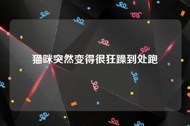 猫咪突然变得很狂躁到处跑