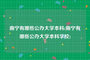 南宁有哪些公办大学本科(南宁有哪些公办大学本科学校)
