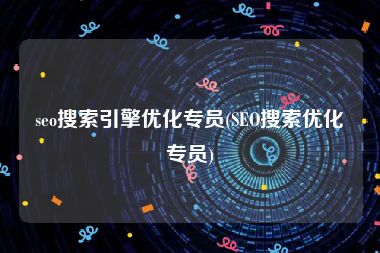 seo搜索引擎优化专员(SEO搜索优化专员)