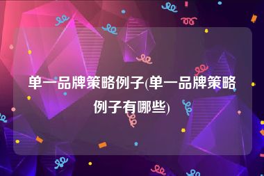 单一品牌策略例子(单一品牌策略例子有哪些)