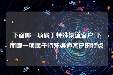 下面哪一项属于特殊渠道客户(下面哪一项属于特殊渠道客户的特点)