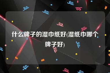 什么牌子的湿巾纸好(湿纸巾哪个牌子好)