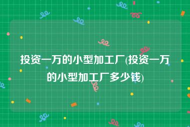 投资一万的小型加工厂(投资一万的小型加工厂多少钱)