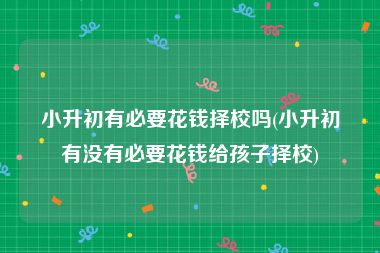 小升初有必要花钱择校吗(小升初有没有必要花钱给孩子择校)