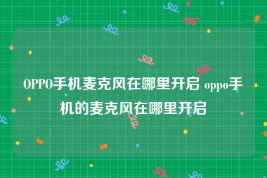 OPPO手机麦克风在哪里开启 oppo手机的麦克风在哪里开启