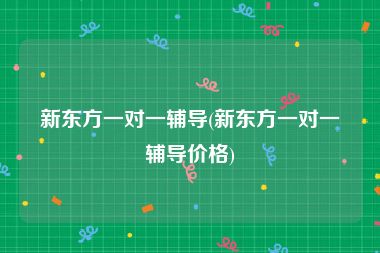 新东方一对一辅导(新东方一对一辅导价格)