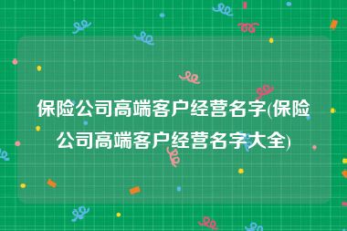 保险公司高端客户经营名字(保险公司高端客户经营名字大全)