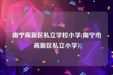 南宁高新区私立学校小学(南宁市高新区私立小学)