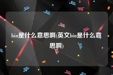 bin是什么意思啊(英文bin是什么意思啊)