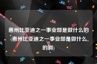 惠州比亚迪之一事业部是做什么的(惠州比亚迪之一事业部是做什么的啊)