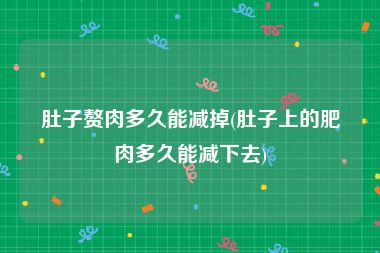 肚子赘肉多久能减掉(肚子上的肥肉多久能减下去)