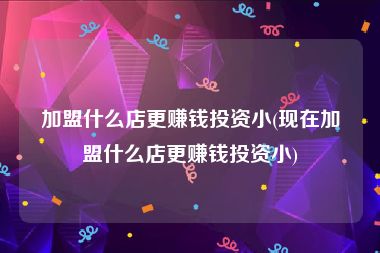 加盟什么店更赚钱投资小(现在加盟什么店更赚钱投资小)
