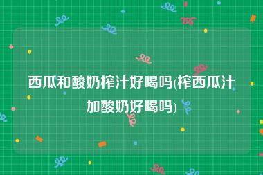 西瓜和酸奶榨汁好喝吗(榨西瓜汁加酸奶好喝吗)