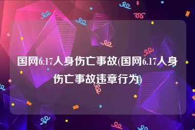国网6.17人身伤亡事故(国网6.17人身伤亡事故违章行为)