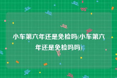 小车第六年还是免检吗(小车第六年还是免检吗吗)