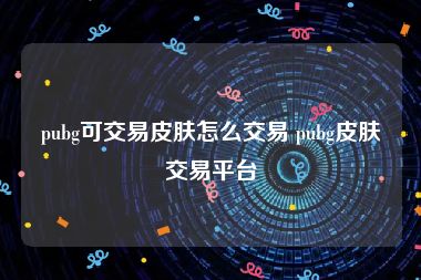 pubg可交易皮肤怎么交易 pubg皮肤交易平台