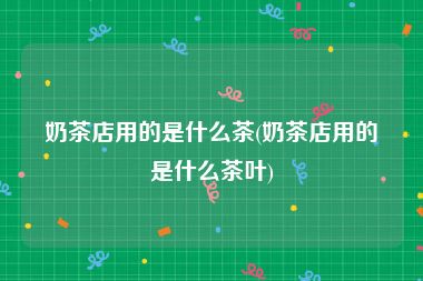 奶茶店用的是什么茶(奶茶店用的是什么茶叶)