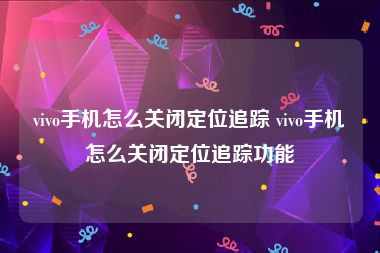 vivo手机怎么关闭定位追踪 vivo手机怎么关闭定位追踪功能