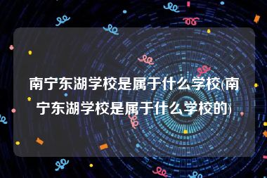 南宁东湖学校是属于什么学校(南宁东湖学校是属于什么学校的)