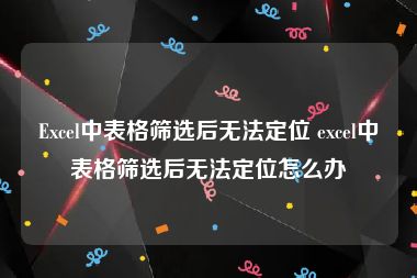 Excel中表格筛选后无法定位 excel中表格筛选后无法定位怎么办