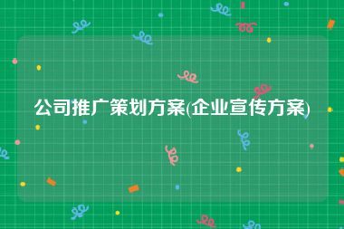 公司推广策划方案(企业宣传方案)