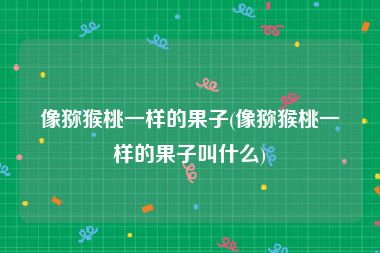 像猕猴桃一样的果子(像猕猴桃一样的果子叫什么)
