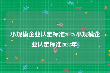 小规模企业认定标准2022(小规模企业认定标准2022年)