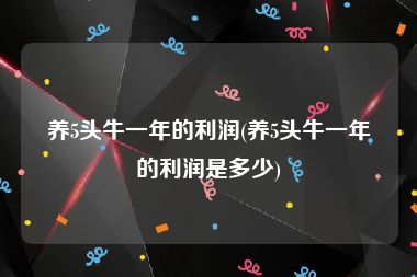养5头牛一年的利润(养5头牛一年的利润是多少)