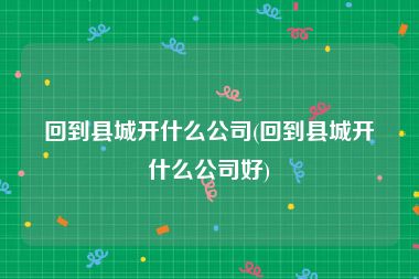 回到县城开什么公司(回到县城开什么公司好)