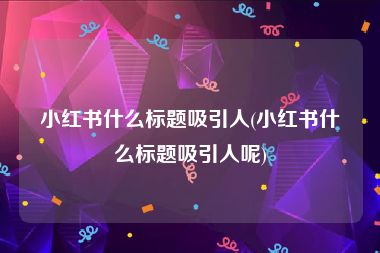 小红书什么标题吸引人(小红书什么标题吸引人呢)