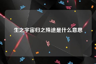 生之宇宙归之殊途是什么意思