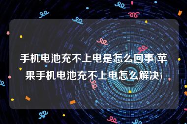 手机电池充不上电是怎么回事(苹果手机电池充不上电怎么解决)