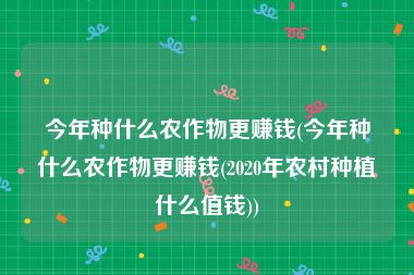 今年种什么农作物更赚钱(今年种什么农作物更赚钱(2020年农村种植什么值钱))