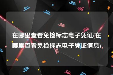 在哪里查看免检标志电子凭证(在哪里查看免检标志电子凭证信息)