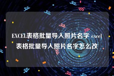 EXCEL表格批量导入照片名字 excel表格批量导入照片名字怎么改