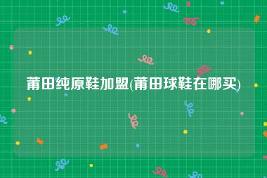 莆田纯原鞋加盟(莆田球鞋在哪买)