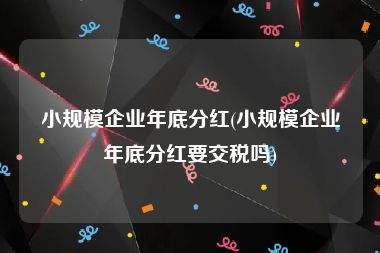 小规模企业年底分红(小规模企业年底分红要交税吗)