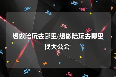 想做陪玩去哪里(想做陪玩去哪里找大公会)