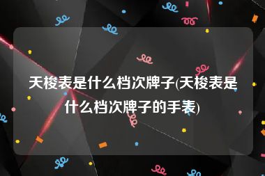 天梭表是什么档次牌子(天梭表是什么档次牌子的手表)
