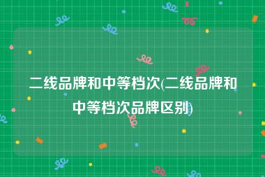 二线品牌和中等档次(二线品牌和中等档次品牌区别)