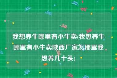 我想养牛哪里有小牛卖(我想养牛哪里有小牛卖陕西厂家怎那里我想养几十头)