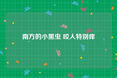 南方的小黑虫 咬人特别痒