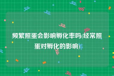 频繁照蛋会影响孵化率吗(经常照蛋对孵化的影响)