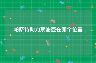帕萨特助力泵油壶在哪个位置