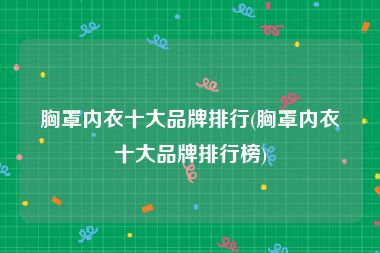 胸罩内衣十大品牌排行(胸罩内衣十大品牌排行榜)
